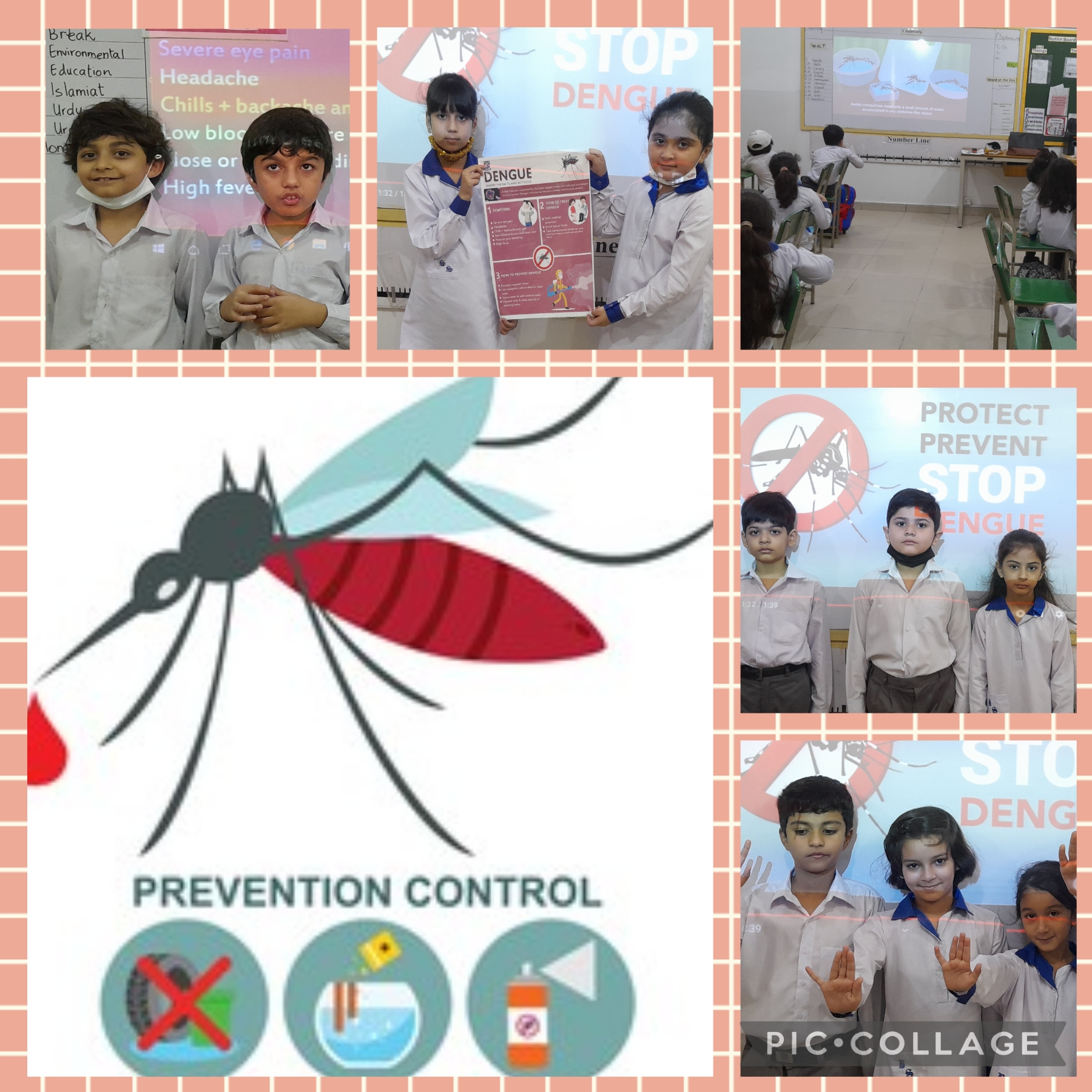 Dengue Awareness Session 2022 Beaconhouse Walton Campus Dengue Awareness Session 2022 Beaconhouse Walton Campus