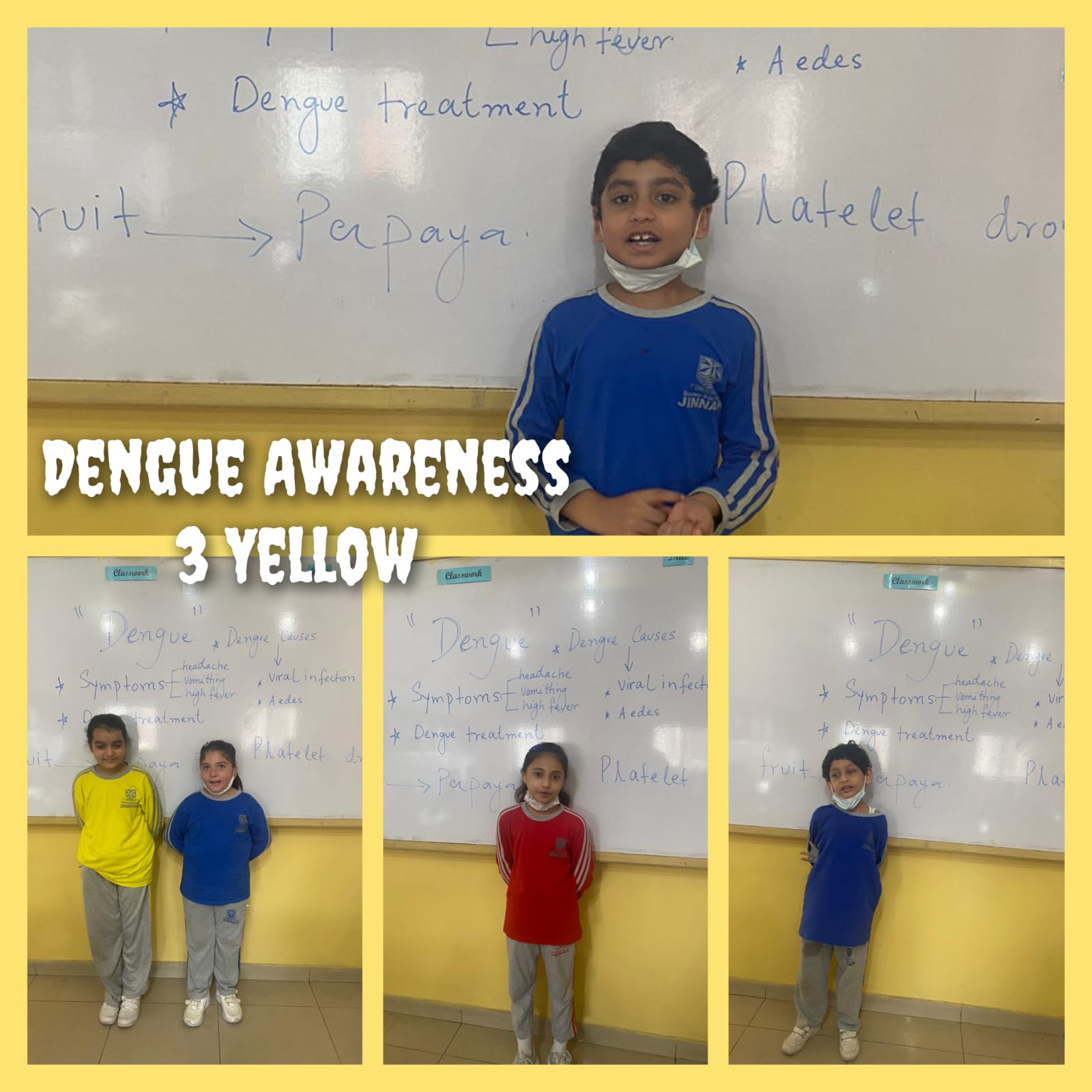 Dengue Awareness Session Beaconhouse Walton Campus